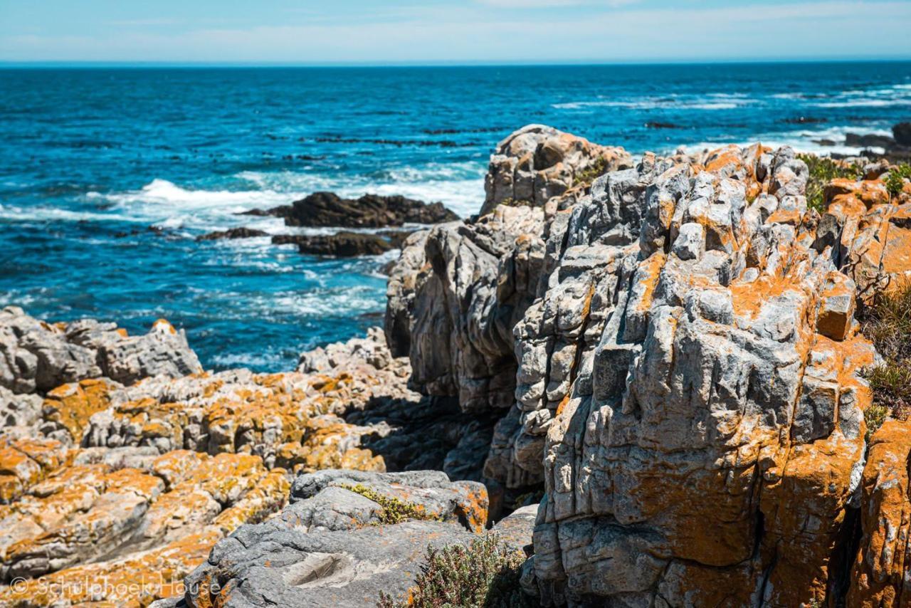 Schulphoek Seafront House Hermanus Luaran gambar The coast of the park