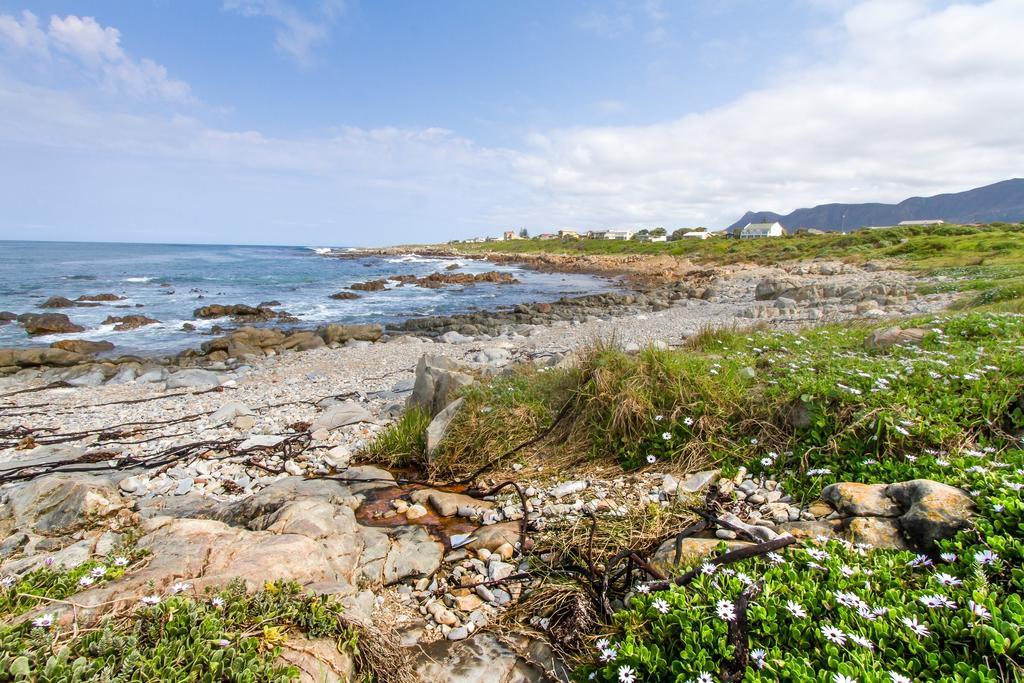 Schulphoek Seafront House Hermanus Luaran gambar The coast of the island of Ons