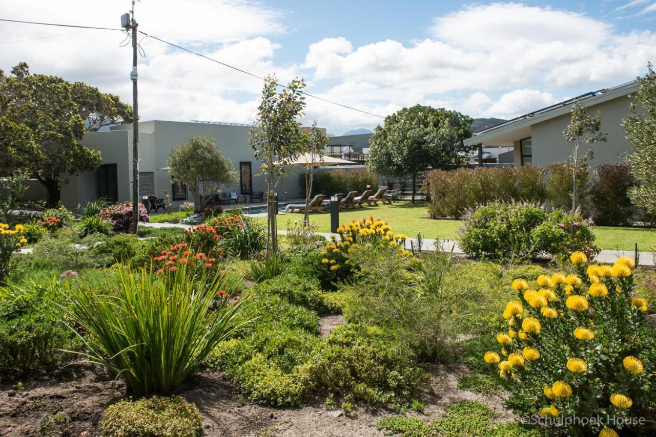 Schulphoek Seafront House Hermanus Luaran gambar The courtyard at the school